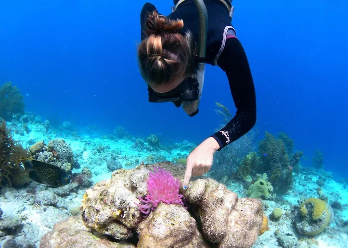 Hotel Kamezi Boutique Yaiza (Lanzarote)